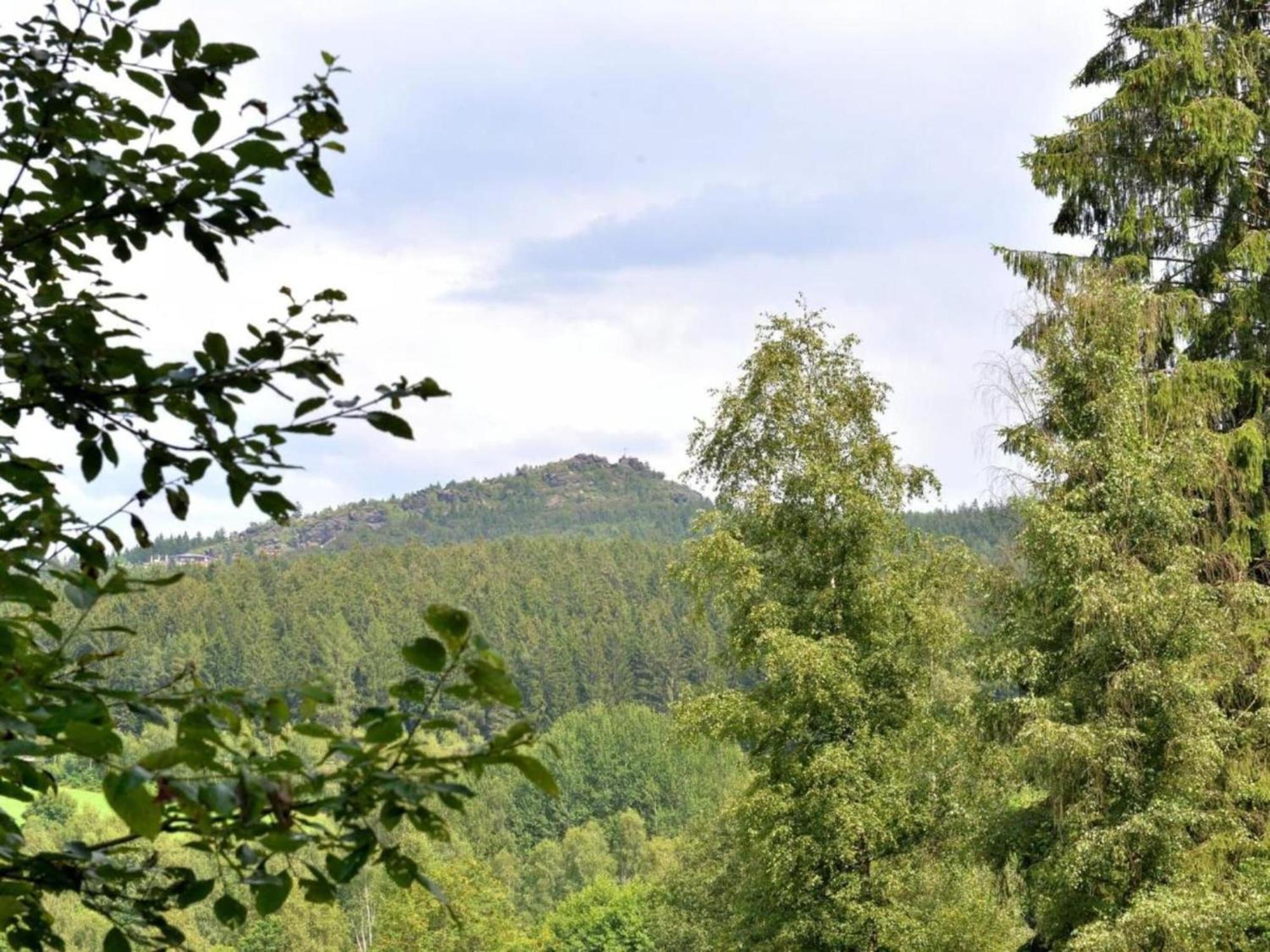 Apartment In The Bavarian Forest With Balcony Drachselsried Exteriér fotografie
